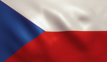 Czech Republic Flag
