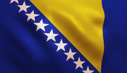 Bosnia Flag