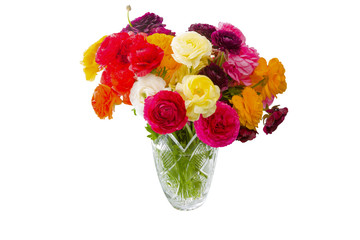 Asian buttercups bouquet in vase