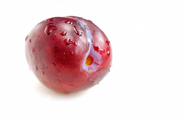 Red plum with water drops  on white background