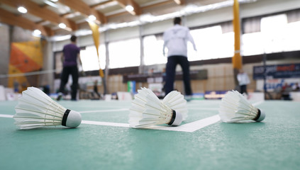 badminton - badminton courts with players
