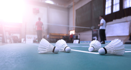 badminton - badminton courts with players
