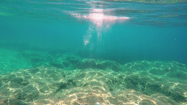 The underwater views of the ocean with its inhabitants - 2