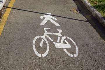Fototapeta na wymiar White painted bicycle way sign on asphalt in park.