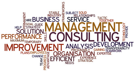 Word Cloud Management Consulting