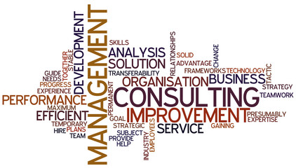 Word Cloud Management Consulting