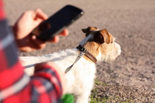 Man Sitting And Checking The Phone While Taking The Dog Out