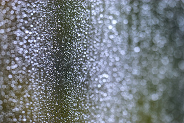 Raindrops on the glass bokeh