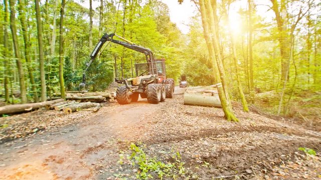 A Logging Timber Company Picking Up The Tree Trucks That They Previously Cut Down From A Forest 