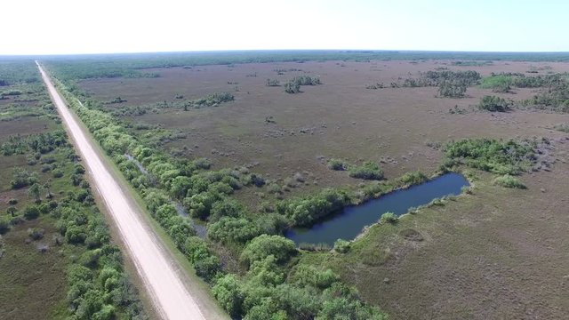 Aerial of Big Cypress National Preserve 4K - 4