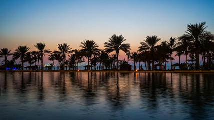 Fototapeta na wymiar Dubai. In the summer of 2016. A water oasis in the evening on the territory of Madinat Jumeirah Mina a Salam 