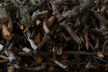 wood