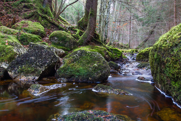 Die Durach im Kemptner Wald