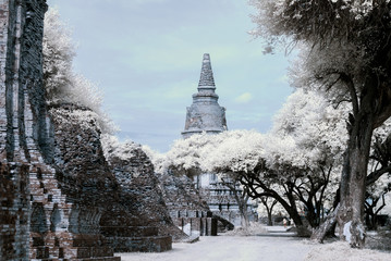 Ayudhaya The Historical park, world heritage of Thailand, shooting style with filter infrared 72