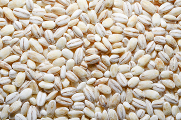 pearl barley background