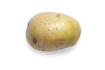potato isolated on the white background