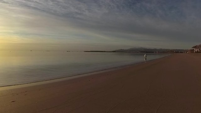 Sunrise time on beach. Beautiful calm sea waves motion. And white bird walks calmly. Egypt. Wide angle real time video footage shot with action camera.