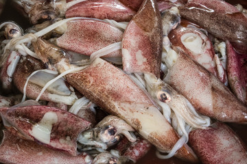 Fresh squid on the public market in Makati Manila, Philippines