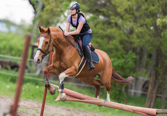Young pretty girl riding a horse -  jumping over hurdle with backlit leaves behind