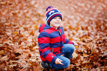 Cute little kid boy on autumn leaves background in park.