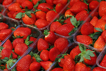 Fresh red ripe strawberries in plastic boxes