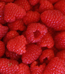 Fresh red ripe raspberries close up
