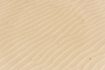 Beach sand close up
