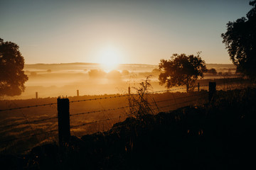 Beautiful dawn landscape, with barbed wire fences dividing land.