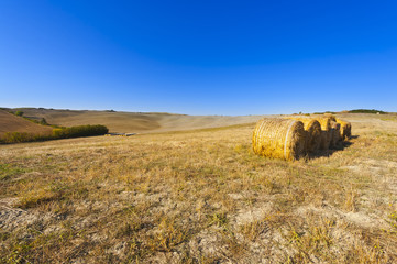 Landscape with Straw Bales