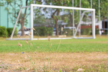  Football field  with  blurred a white goal in the background.