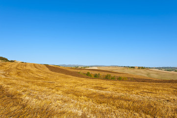 Tuscany landscape after harvest