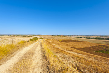 Tuscany landscape after harvest