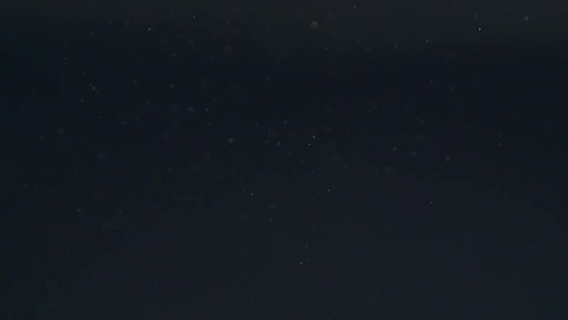 Slow motion of dust particles flow and float over black background, 180fps prores footage