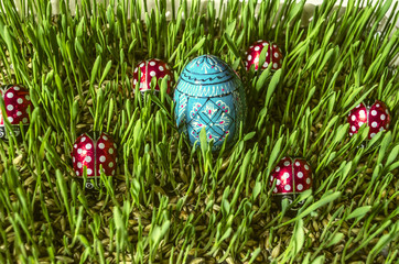 Sprouted  barley with painted wooden blue egg and chocolate ladybirds 
