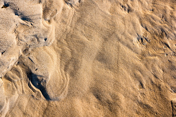 rocky beach with sand and pebbles