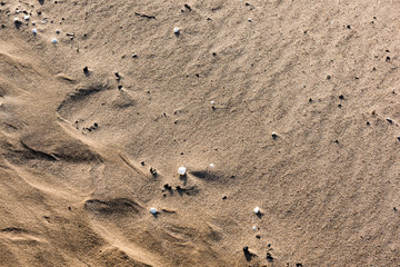 Fototapeta na wymiar rocky beach with sand and pebbles