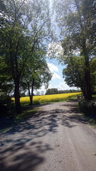 Obraz premium Beautiful views of nature