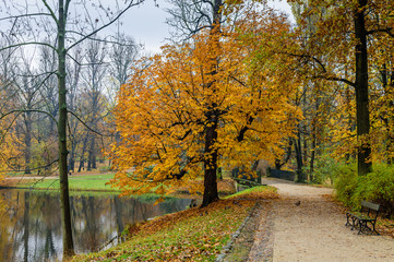 A beautiful autumn landscape. City Park in Warsaw. Lazienki Krolewskie Park, Warsaw, Poland. Lazienki Krolewskie is a popular tourist place in the city center, Warsaw, Poland.