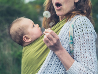 Mother with baby blowing dandelion