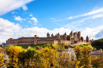 Cité de Carcassonne vue du pont neuf,Languedoc-Roussillon, Aude, Occitanie, France