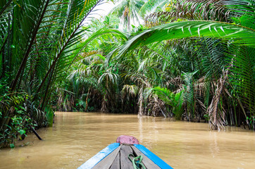 Boating on the Mekong Delta in Vietnam