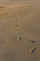 Fototapeta na wymiar Footprints.