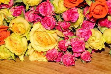Yellow, orange, red, pink buds of bush roses on a wooden background