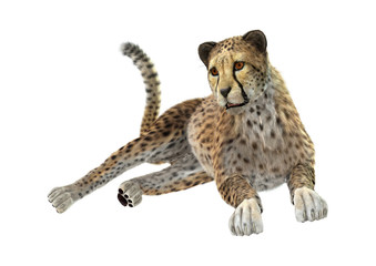 3D Rendering Cheetah on White