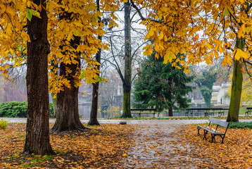 A beautiful autumn landscape. City Park in Warsaw. Lazienki Krolewskie Park, Warsaw, Poland. Lazienki Krolewskie is a popular tourist place in the city center, Warsaw, Poland.