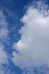 Fototapeta na wymiar 青空と雲「空想・見つめあう雲のモンスターたち（右側が親モンスター、左側が子供のモンスターたち）子育て、育児などをイメージ