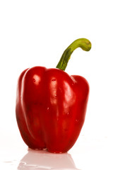 red pepper chilli close up 