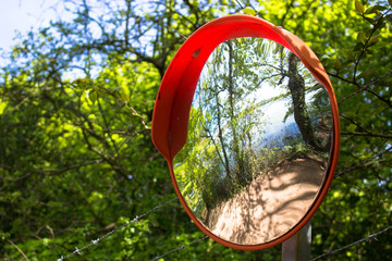 Round convex mirror on woodland path