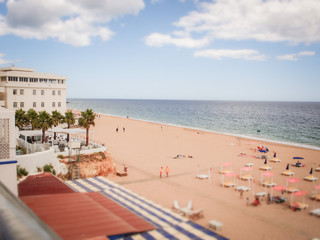 Obraz premium OLYMPUS DIGITAL CAMERA