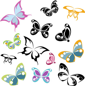 black and multicolored butterflies silhouettes on , white background